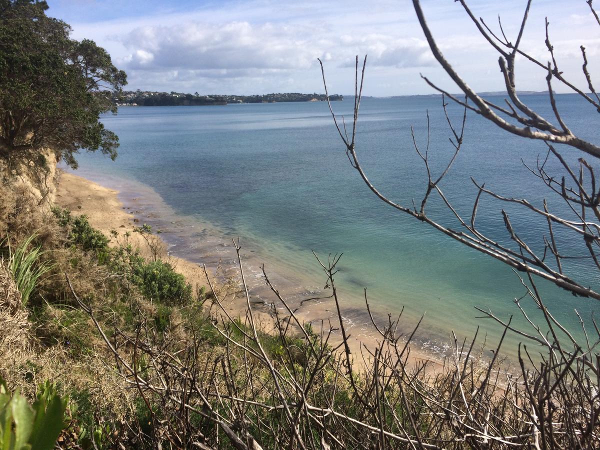 Beach Lodge Auckland Kültér fotó